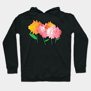 Spring Hoodie